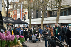 DSC_0071